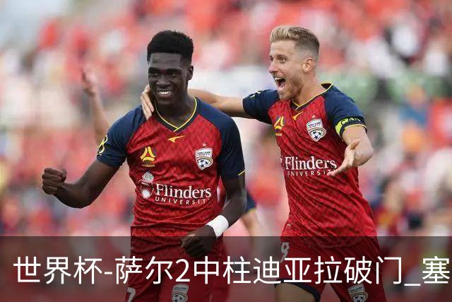 世界杯-萨尔2中柱迪亚拉破门 塞内加尔半场暂1-0比利时