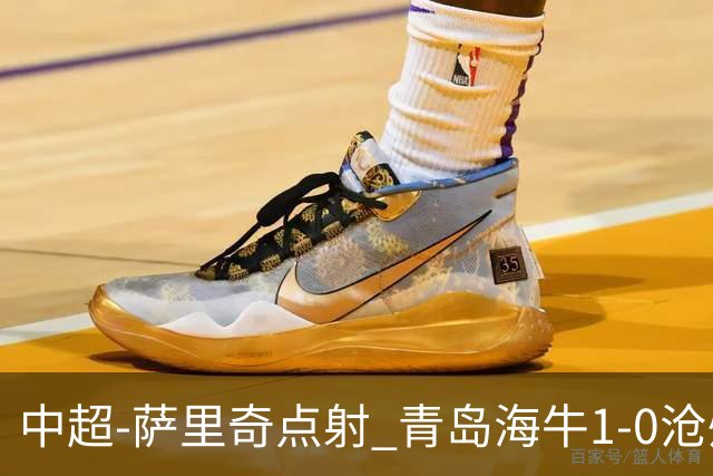 中超-萨里奇点射 青岛海牛1-0沧州雄狮携手保级