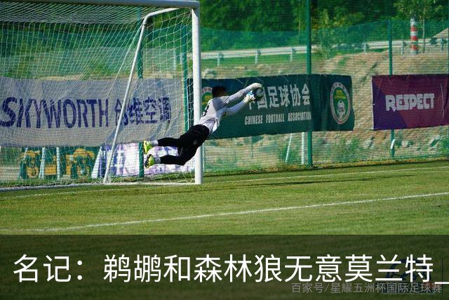 名记：鹈鹕&森林狼无意莫兰特 热火也不急于尝试其与字母哥的搭档