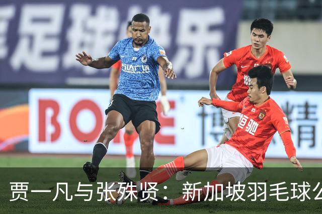 贾一凡与张殊贤：新加坡羽毛球公开赛女双冠军的传奇之路